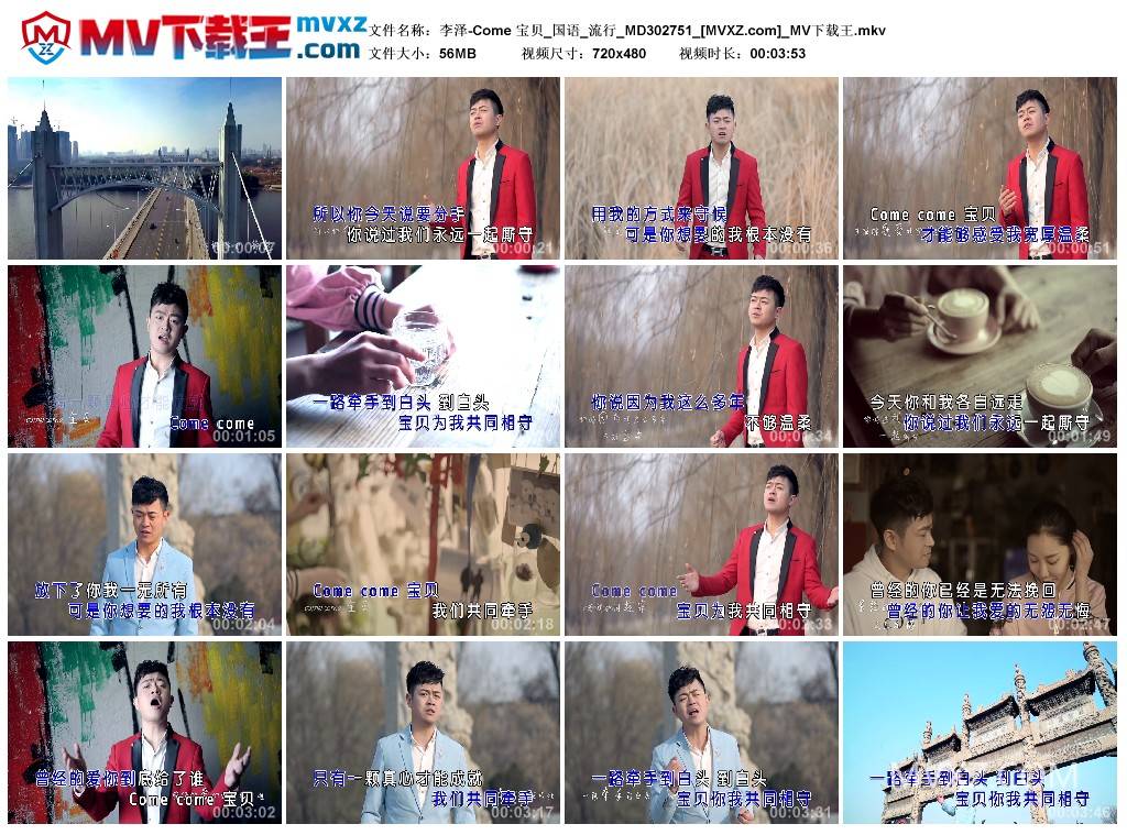 李泽-Come 宝贝_国语_流行_MD302751